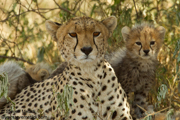 TANZANIA